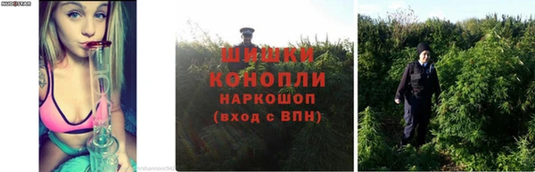 наркотики Алзамай