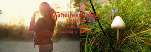 гидра Абинск