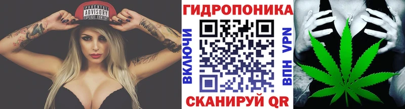 Канабис OG Kush  Ясный 